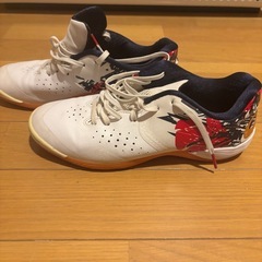 アシックス　フットサルシューズ　屋内　の画像