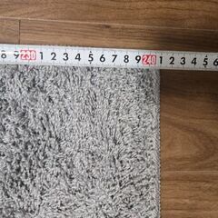 ラグ(２４０x２００)をお譲りしますの画像