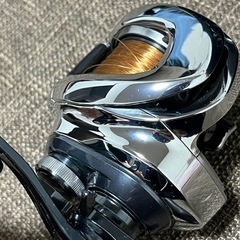 19アンタレス hgHGの画像