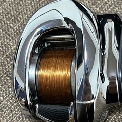 19アンタレス hgHGの画像