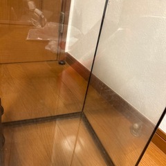 ジェックス GEX EXOTERRA グラステラリウム3045 PT2602 両開きフロントドア 爬虫類飼育ケージ W31.5×D31.5×H48cmの画像