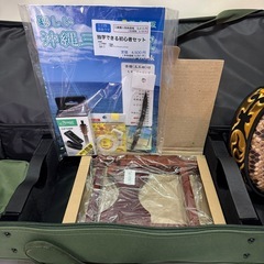 三線 蛇三線 本皮 本革 蛇皮 蛇革 三味線 琉球 沖縄 楽器　ソフトケース付きの画像