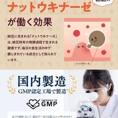 【高濃度ナットウキナーゼ × 菌活】ビフィラル 高濃度 ナットウキナーゼ 4,0の画像