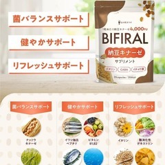 【高濃度ナットウキナーゼ × 菌活】ビフィラル 高濃度 ナットウキナーゼ 4,0の画像