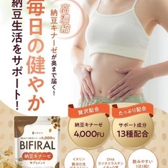 【高濃度ナットウキナーゼ × 菌活】ビフィラル 高濃度 ナットウキナーゼ 4,0の画像