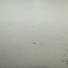 ロウヤ　ローテーブルの画像