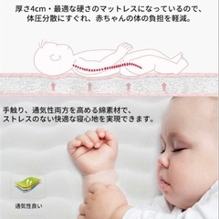 美品　ベットインベッドの画像