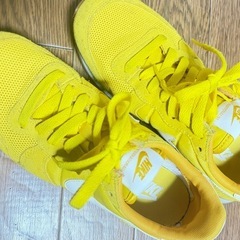 NIKEすにスニーカーの画像