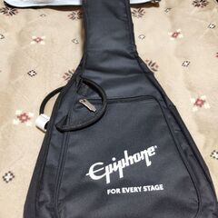 エレキギターとアコースティックギターを譲っていただけません…