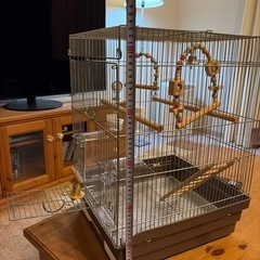 小鳥飼育セット一式の画像