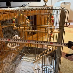 小鳥飼育セット一式の画像