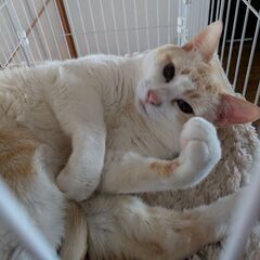 甘えん坊な男の子と元気な女の子　