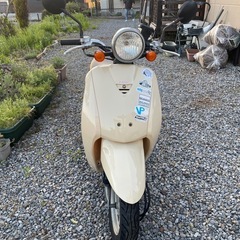 ホンダ トゥデイ Today AF67の画像