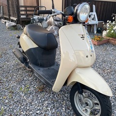 ホンダ トゥデイ Today AF67の画像