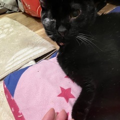 両目がなくちゃダメですか？天ちゃん