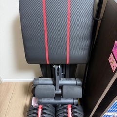 エアロバイク、可変式ダンベル、ベンチセットの画像