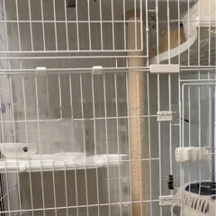 猫ケージ　爪研ぎ　セットの画像