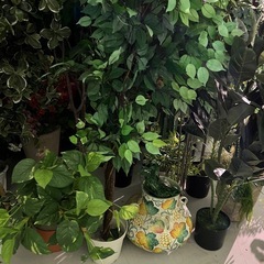 造花　インテリア　草木 の画像