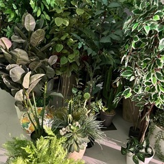 造花　インテリア　草木 の画像