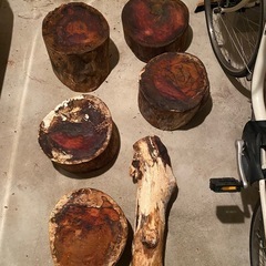 商談中まだあります　 ケヤキ　天然木　丸太の画像