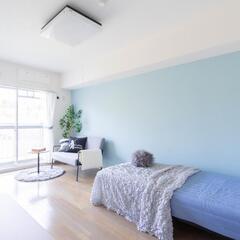 ✅敷礼無料！「ペットも、あなたも、のびのび暮らせる。」