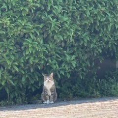 カラオケやカフェ