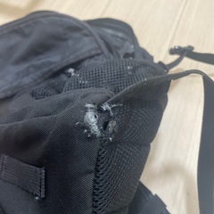 コールマン　リュックの画像