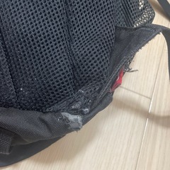 コールマン　リュックの画像