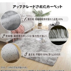 （決定済み）カーペット ラグマット 160×200cm 滑り止め付 洗えるラグ 抗菌 ふわっと手触り優しいフランネルラグ 約2畳 折り畳み 長方形 (グレー)の画像