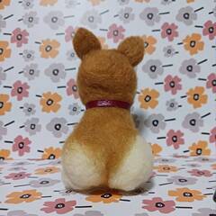 羊毛フェルト お尻の可愛いコーギー　餌・骨付きの画像