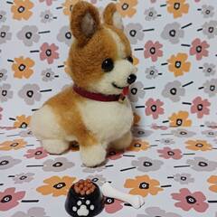 羊毛フェルト お尻の可愛いコーギー　餌・骨付きの画像