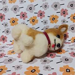 羊毛フェルト お尻の可愛いコーギー　餌・骨付きの画像