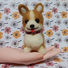 羊毛フェルト お尻の可愛いコーギー　餌・骨付きの画像