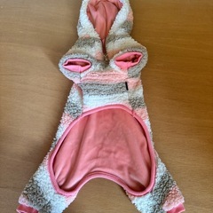 小型犬アウター　の画像