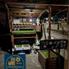 めだか無人販売
の画像