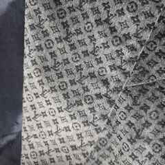 ルイヴィトンジャケットの画像