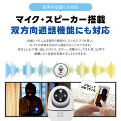 【新品・正規品】塚本無線（WTW）無線カメラ１台セット　面倒なペアリング済 工事不要　 SDカード付の画像