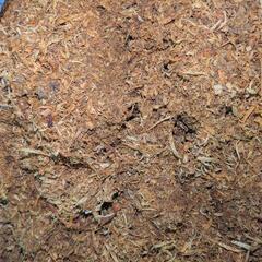 ココチップとおが屑の画像