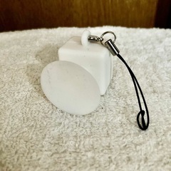 KawasakiのNinjaと書いてあるキーホルダー？の画像