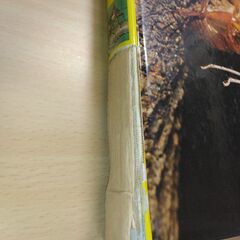 『昆虫の図鑑』小学館の画像