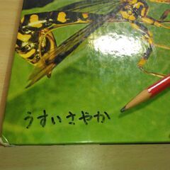『昆虫の図鑑』小学館の画像