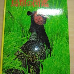 『鳥類の図鑑』小学館の画像