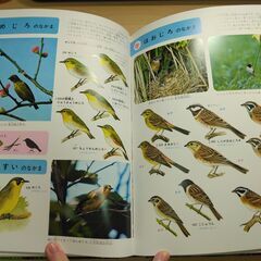 『鳥類の図鑑』小学館の画像