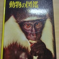 『動物の図鑑』小学館の画像