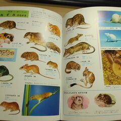『動物の図鑑』小学館の画像