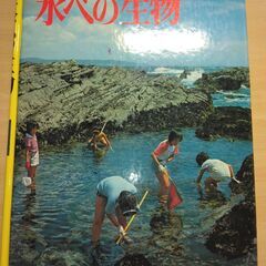 『水べの生物』小学館の画像