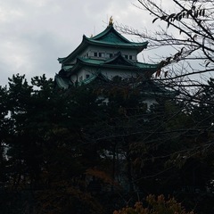 ゆるく一緒に散歩できる友達募集してます😊