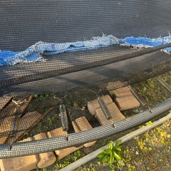 大型トランポリン  直径3mの画像