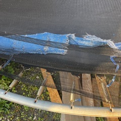 大型トランポリン  直径3mの画像