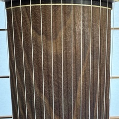 箏 13弦　和楽器琴民謡演歌演奏習い事の画像